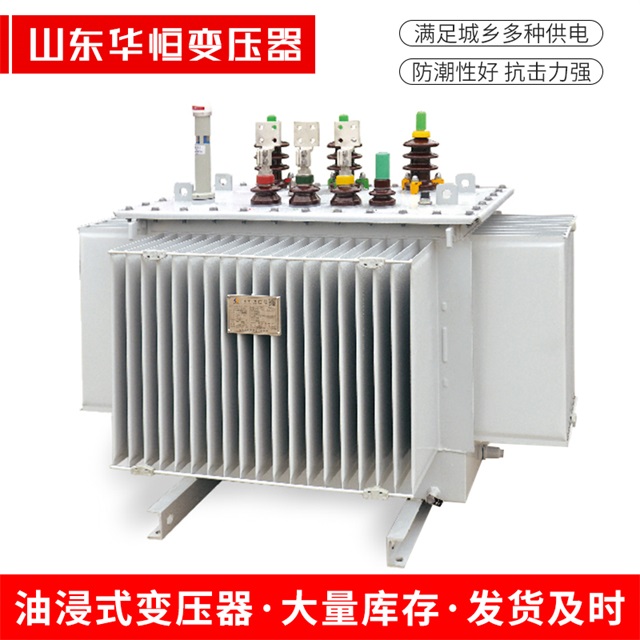 S13-10000/35林甸林甸林甸电力变压器